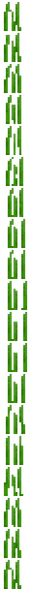 Fichier:Tall seagrass top.png