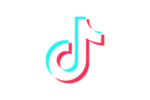 TikTok-Icon-White.svg